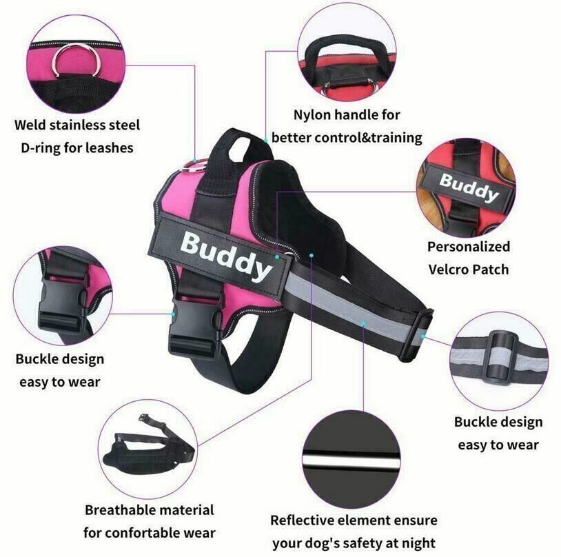 Black Personalized Dog Harness