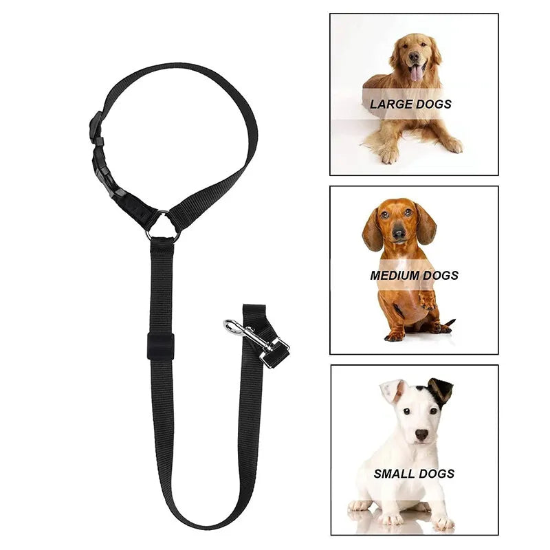 Army Green Head Rest Seat Belt / Leash