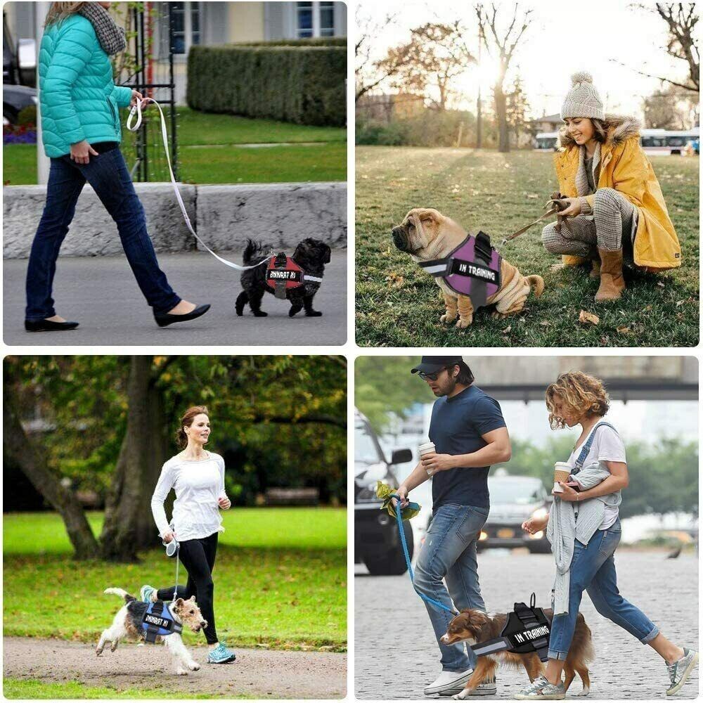 Green Personalized Dog Harness