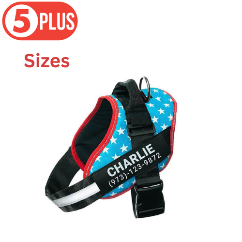 5 Point Star Personalized Dog Harness