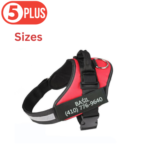 Red Personalized Dog Harness