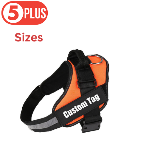 Orange Personalized Dog Harness