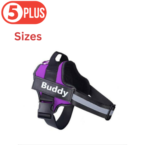 Purple Personlized Dog Harness