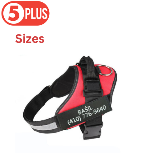 Red Personalized Dog Harness