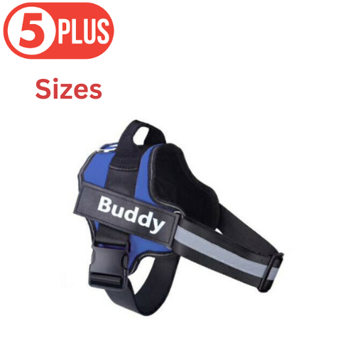 Blue Personalized Dog Harness