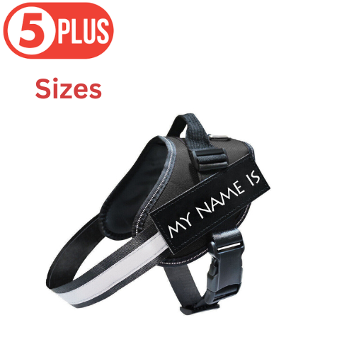 Black Personalized Dog Harness