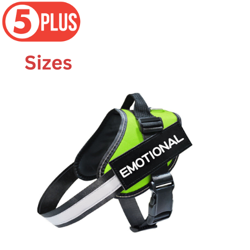 Green Personalized Dog Harness
