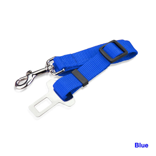 Blue Car Seat Buckle & Leash