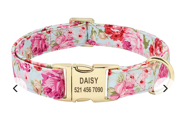 Nylon Personalized Dog Collar