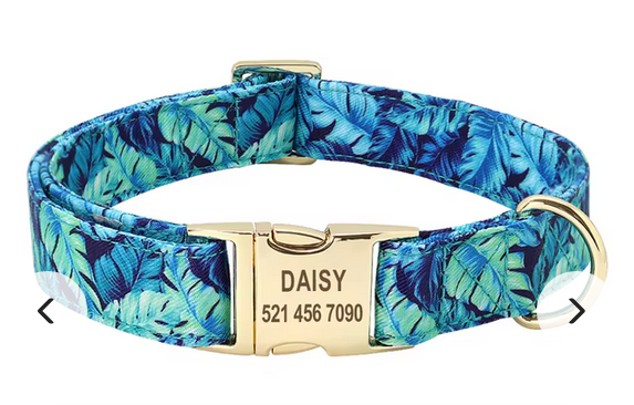 Nylon Personalized Dog Collars