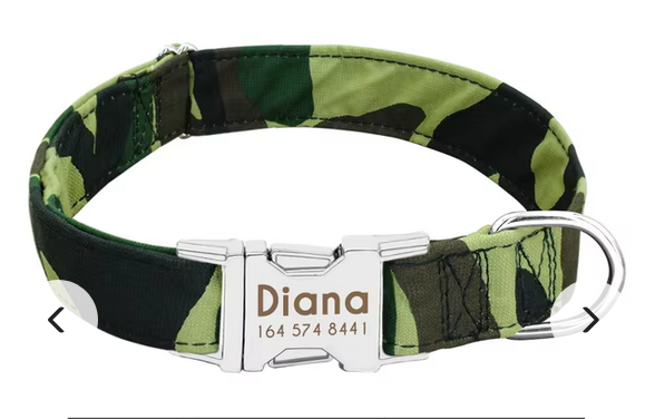 Nylon Personalized Dog Collar