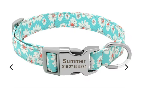 Nylon Personalized Dog Collar