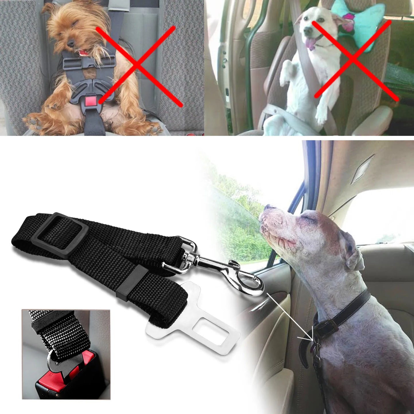 Blue Car Seat Buckle & Leash