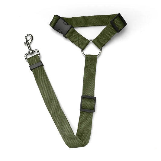 Army Green Head Rest Seat Belt / Leash