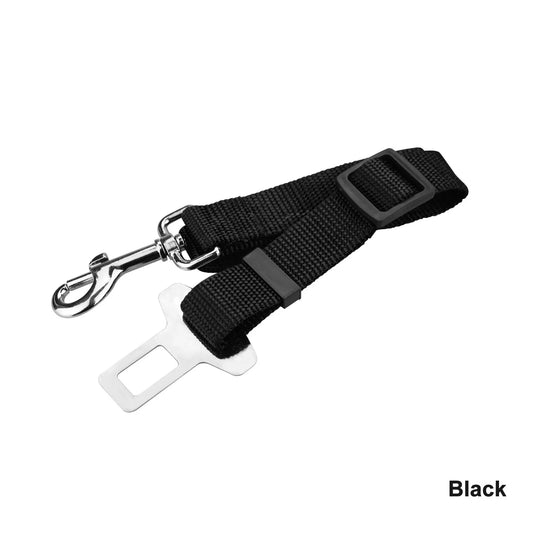 Black Car Seat Buckle & Leash