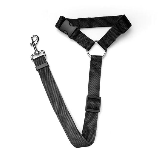 Black Head Rest Seat Belt / Leash