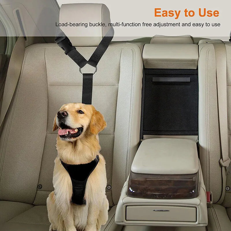 Army Green Head Rest Seat Belt / Leash
