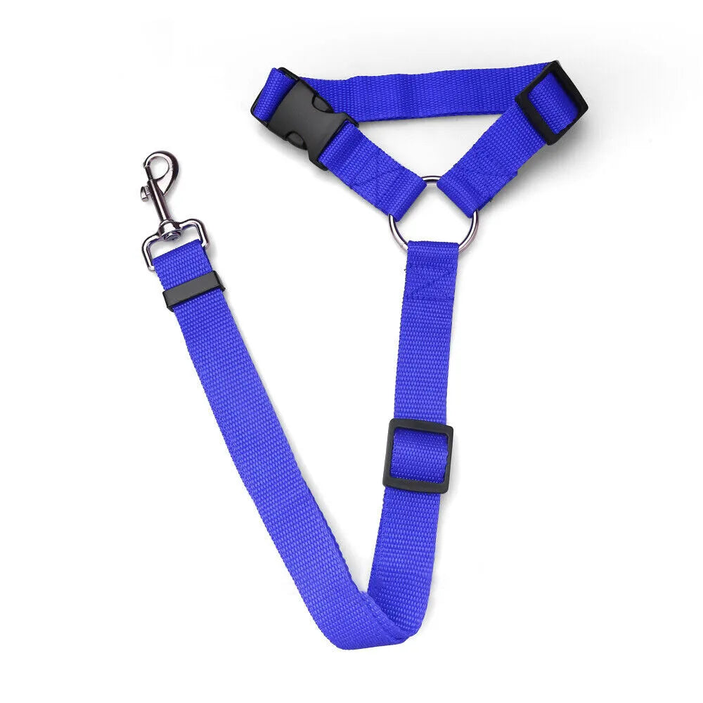 Navy Blue Head Rest Seat Belt / Leash