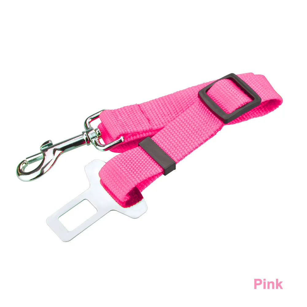 Pink Seat Belt Leash & Buckle
