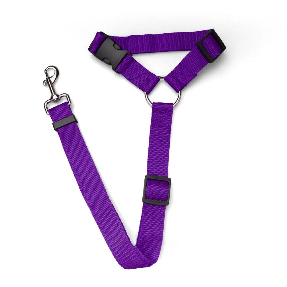 Purple Head Rest Seat Belt / Leash
