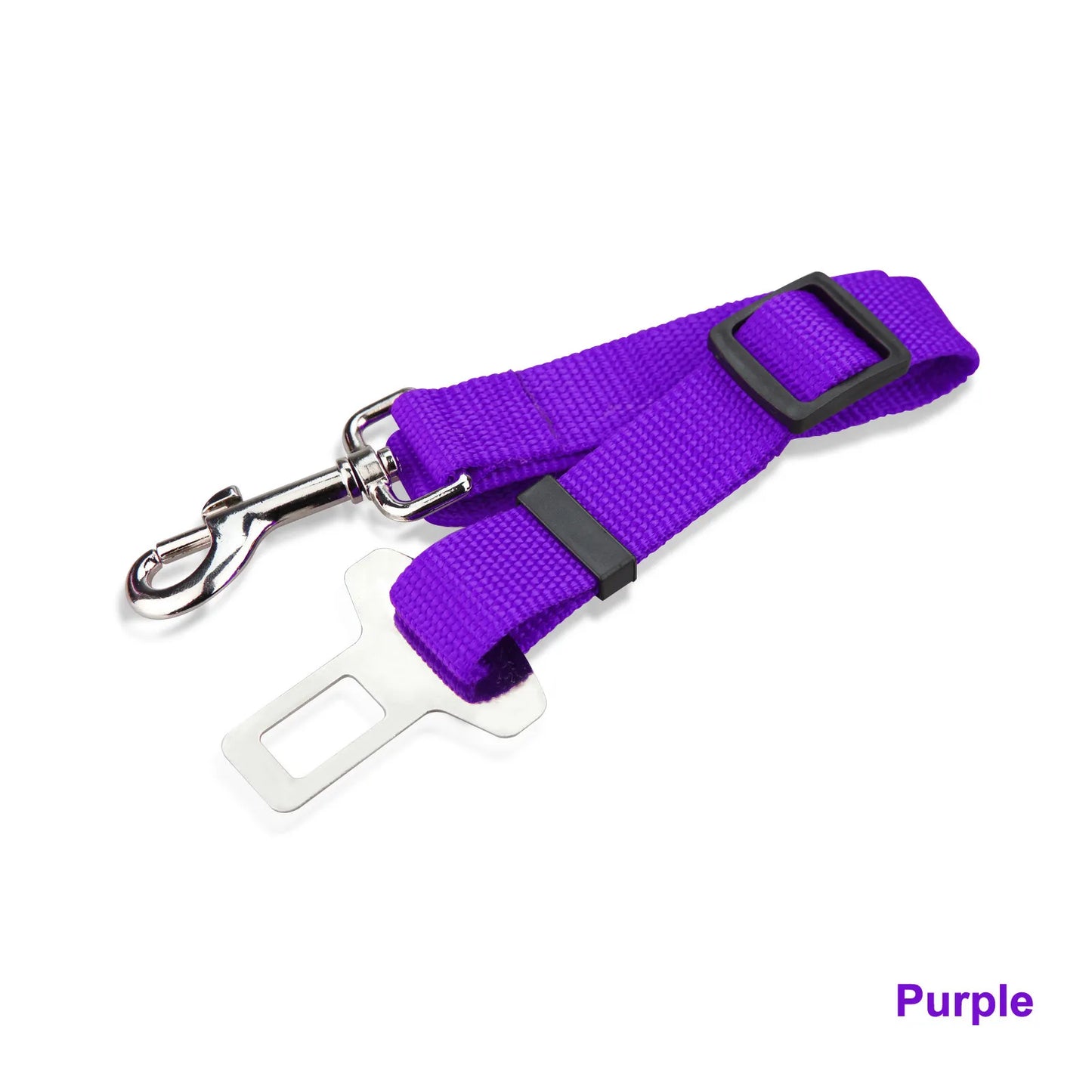 Purple Seat Belt Buckle & Leash