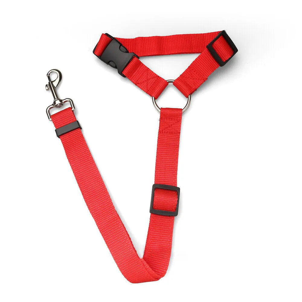Red Head Rest Seat Belt / Leash