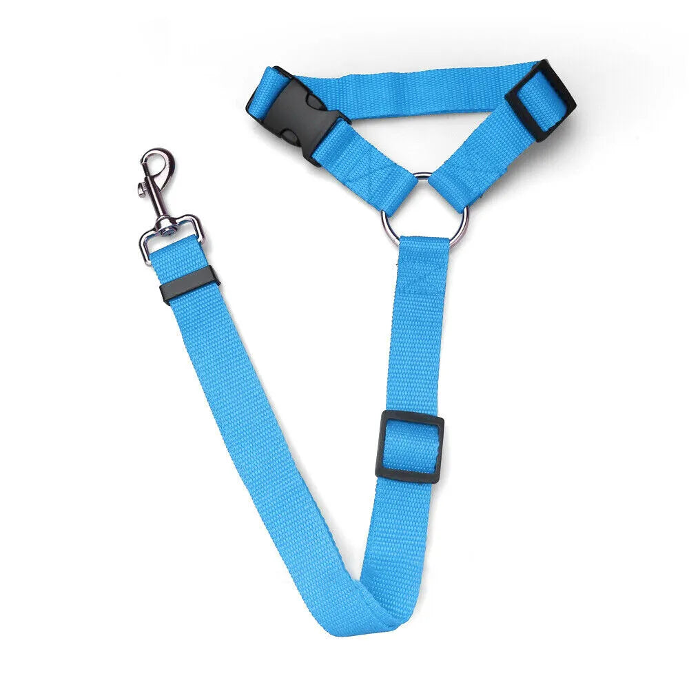 Sky Blue Head Rest Seat Belt / Leash